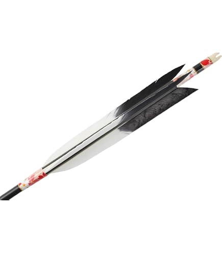 Amazon | 山武弓具店 矢 弓道 黒手羽 ミズノ WENEW 8023 6本組